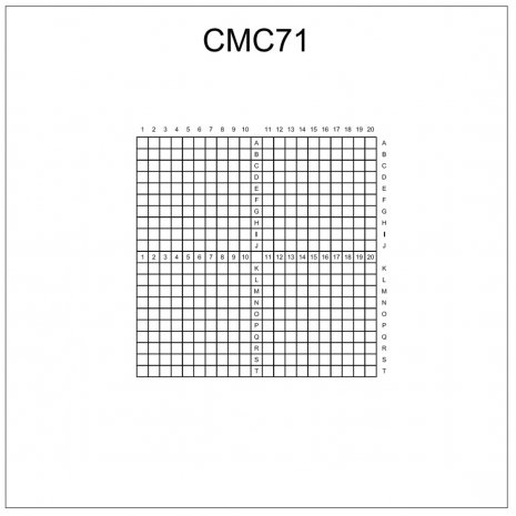 CMC71 korrelative Deckgläschen 10 x 10 mm mit 0,5 mm Einteilung