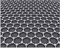 EM-Tec single layer graphene TEM support film on Lacey carbon on 300 mesh copper grids