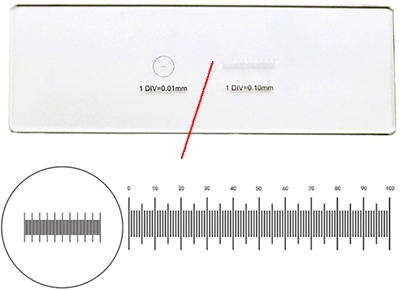 Micro-Tec MS21 Glas-Kalibrierobjektträger, 1 mm horizontales Linearmaß mit 0,01 mm Teilung + 10 mm horizontales Linearmaß mit 0,1 mm Teilung