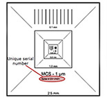 Calibration standards for electron microscopy