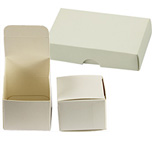 Micro-Tec B40 white cardboard box, 100x60x20mm