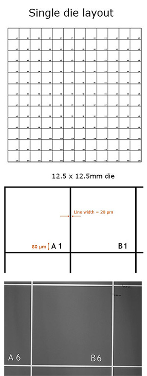 EM-Tec silicon SEM finder grid substrate mit 144 individual, indexed fields for multiple samples and correlative microscopy