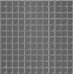 EM-Tec FG-1 Silicon Finder Grid Substrate with 144 fields of 1x1mm