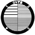 Gilder GVPB TEM grid, parallel bar plus central divider with quarters 100, 200, 300 and 400 mesh