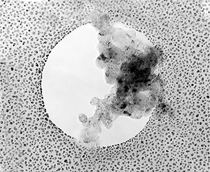 EM-Tec TS3 TEM combined test specimen standard