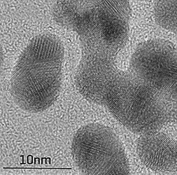 EM-Tec TR1 TEM resolution standard fine gold particles