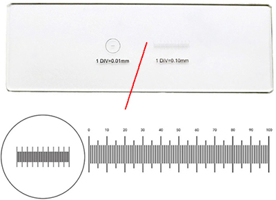 35-M02010.jpg Micro Tec MS21 glass calibration slide, 1 mm horozontal line in 0.01mm divisions +10mm horizontal line in 0.1mm divisions